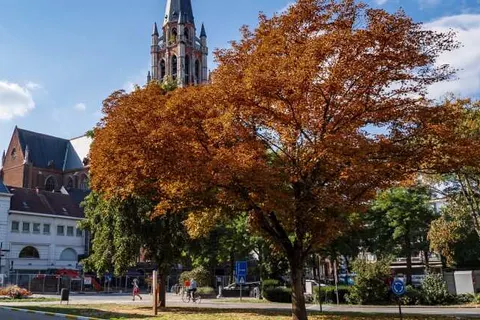 Tower Hotel Aalst foto 16