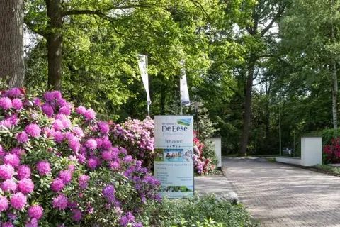 Residence de Eese foto 16