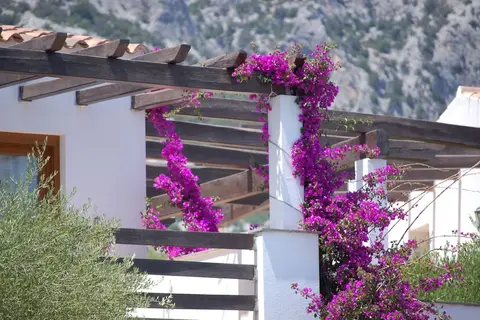 Club Esse Palmasera Resort in Durgali/Dorgali — foto 29