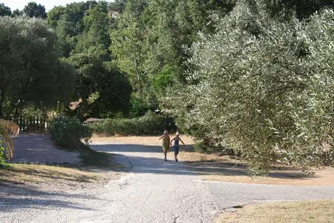 Camping Miremer in La Garde-Freinet, foto 21