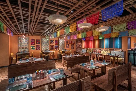 8 dg cruise West Mid Zee MSC World Europa foto 4