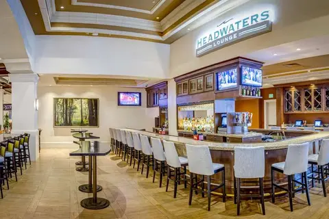 Rosen Shingle Creek in Tangelo Park — foto 10