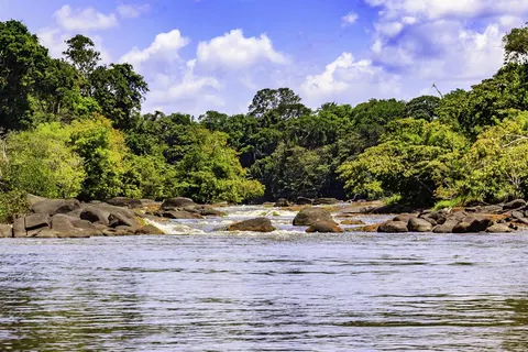 10 daagse reis a taste of Suriname in Anaula — foto 4