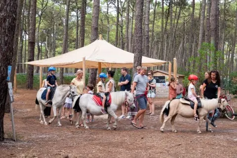 Camping Le Tedey foto 26