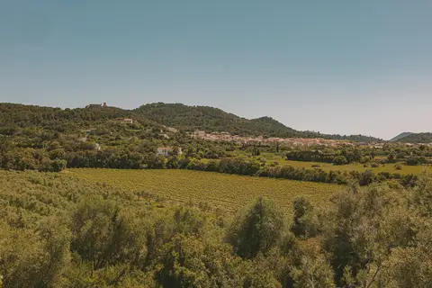 Predi Son Jaumell Hotel Rural in Capdepera — foto 38