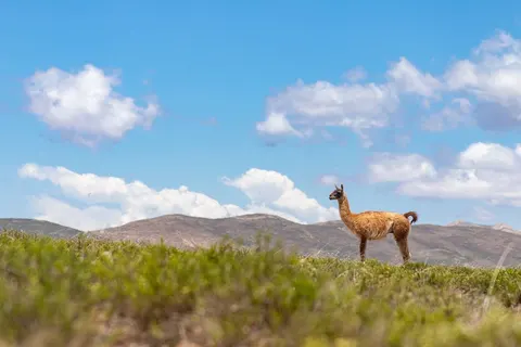 Impressions of North Argentina foto 1