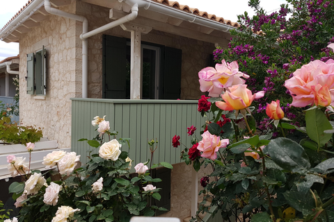 Appartementen Wild Sea foto 1