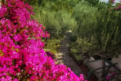 Villea Village in Δημοτική Ενότητα Μακρύ Γιαλού — foto 10