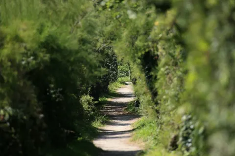 Camping La Plage De Cleut Rouz foto 19