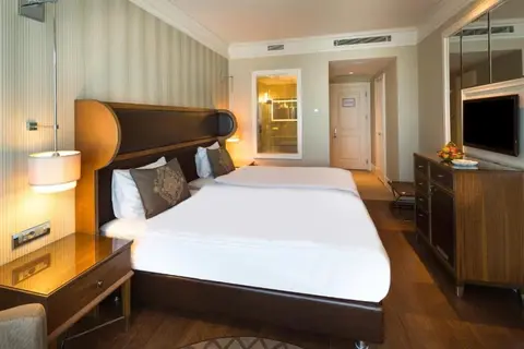Windsor Hotel & Convention Center Istanbul in Fatih — foto 11