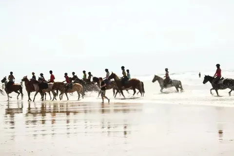 Camping Le Bois De Bayadene foto 8