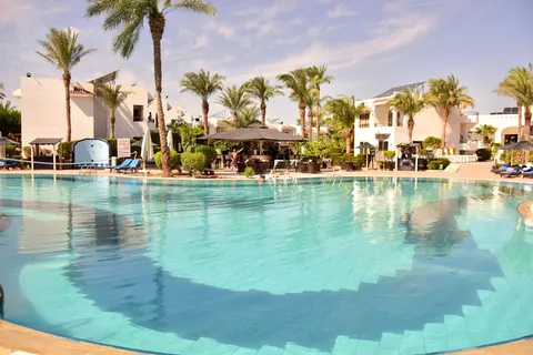 Dive Inn in Sharm El Sheikh — foto 7