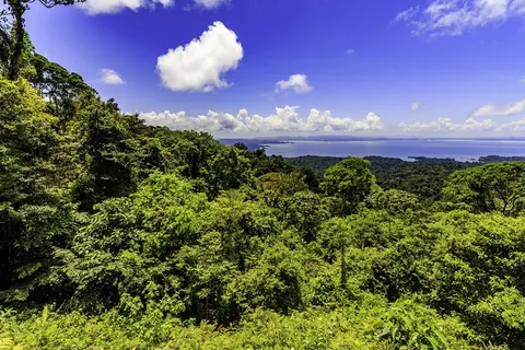 11-daagse rondreis A Taste of Suriname in Distrikt Paramaribo — foto 2