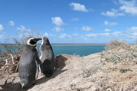 Explore Spectacular Argentina foto 4