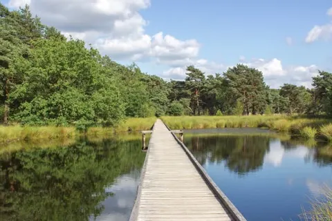 Bed and Breakfast Bourgondisch Lomm foto 12