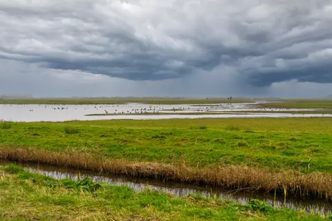Texel in De Cocksdorp — foto 20
