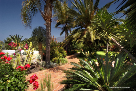 Bungalows Palma Jardin foto 16