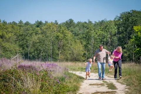 Camping De Tovertuin foto 8