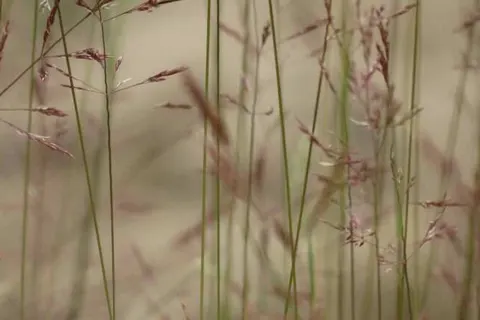 Hotel Udens Duyn foto 20