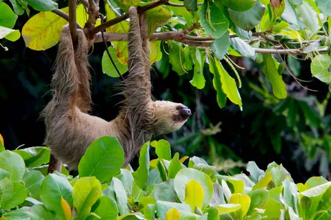 Pura Vida in Costa Rica foto 1