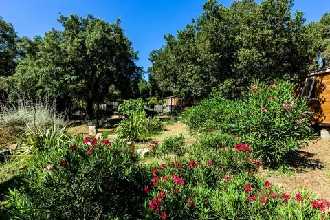 Plein Air Campo Di Mare foto 7