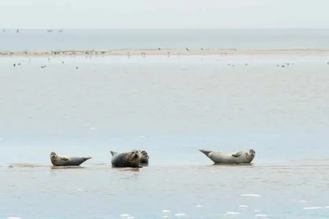 Boutique Hotel de Smulpot Texel foto 20