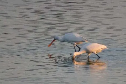 Hotel Café Restaurant De Kroon foto 37