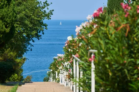 Vakantiepark Bellevue Plava Laguna foto 5