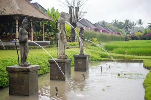 Desa Visesa Ubud in Ubud, foto 21