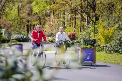 Vakantiepark De Rimboe en De Woeste Hoogte foto 26