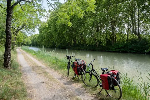 Camping Les Mûriers foto 22