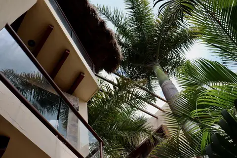 Macondo Raíz Holbox in Holbox, foto 11