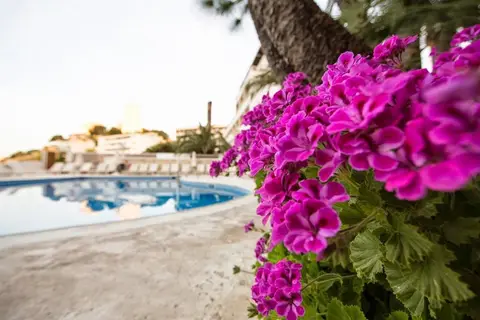 Be Live Adults Only Marivent in Palma — foto 21