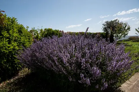 La Dimora di Spartivento, Best Western Signature Collection in Ragusa, foto 8