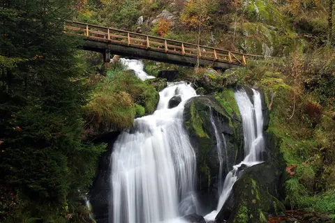 Zwarte Woud, de Elzas en Vogezen, Endingen foto 7