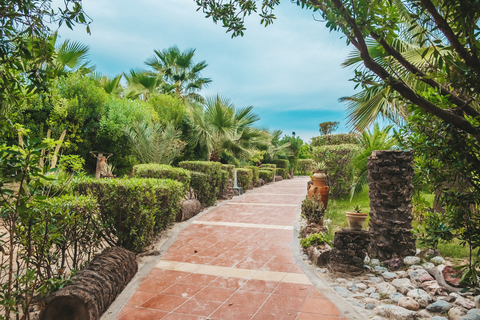 Hotel Skanes Serail Aquapark in المنستير — foto 29