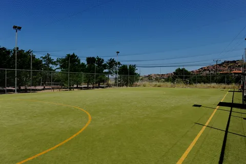 Fly & Go Delfinia foto 7