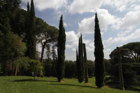 Europa in San Marcellino, foto 12