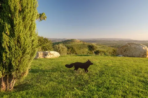 Masseria Della Volpe in Noto — foto 12