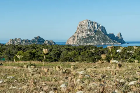 Petunia Ibiza in Sant Josep de sa Talaia, foto 30