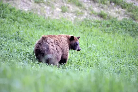 Western Lodges and Resorts foto 6