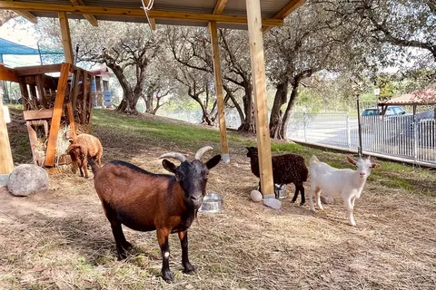 La Bertoletta Village foto 28