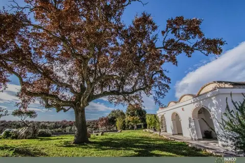 Masseria Parco delle Querce in Crispiano — foto 12