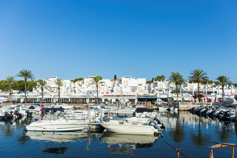 AluaSun Lago Park foto 14