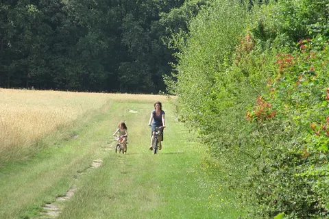 Camping Ferme Pédagogique De Prunay foto 24