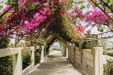 Hotel Sheraton Rhodes Resort in Ialysos, foto 18