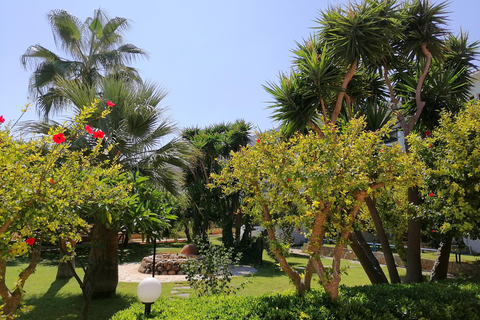 Appartementen Villa Vicky foto 10