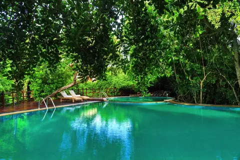 Jungle Beach Resort in Kuchchaveli, Trincomalee, foto 4