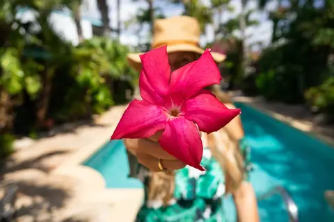 Hotel Paradera Park in Paradera — foto 15