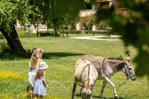 Grecotel LUXME Costa Botanica in Acharavi — foto 30